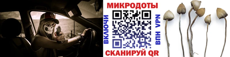 Галлюциногенные грибы Magic Shrooms  mega рабочий сайт  Сычёвка 